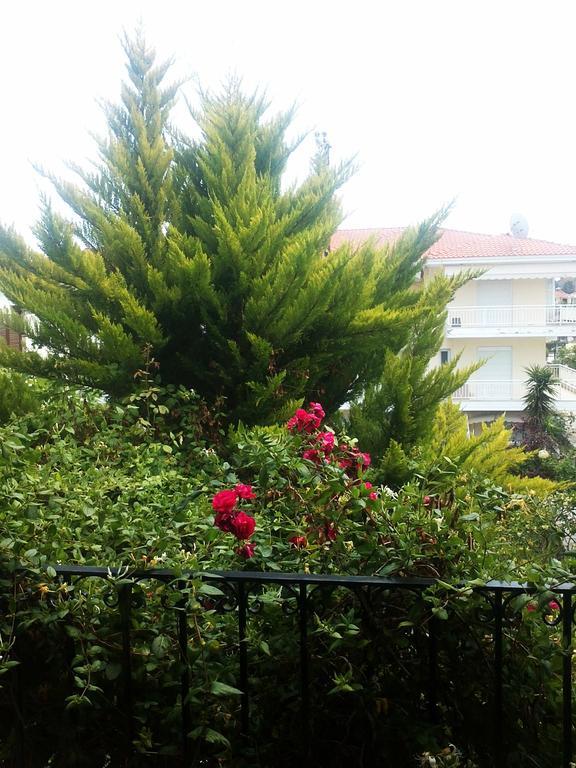 Charming Maisonette Полихроно Екстериор снимка